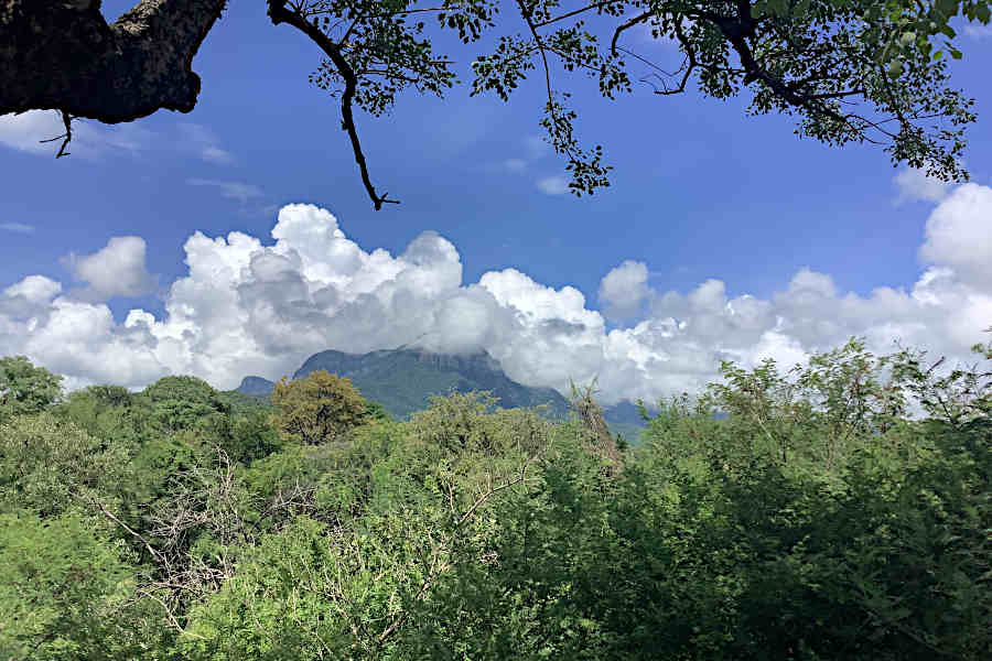 Stacks Image 322