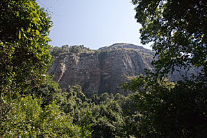 Stacks Image 860